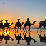 Taghazout Camel Ride: Golden Hour by the Atlantic