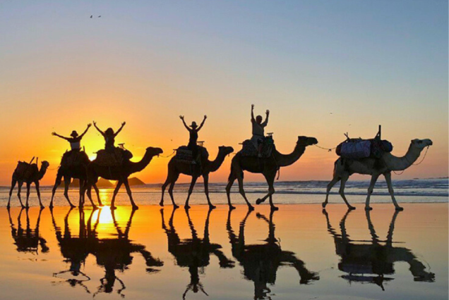 Taghazout Camel Ride: Golden Hour by the Atlantic